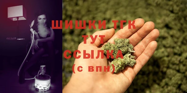 прущие грибы Волосово