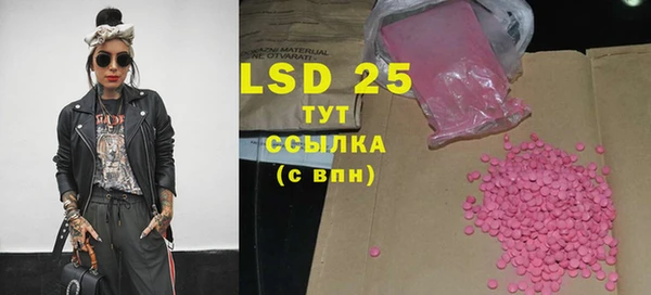 прущие грибы Волосово