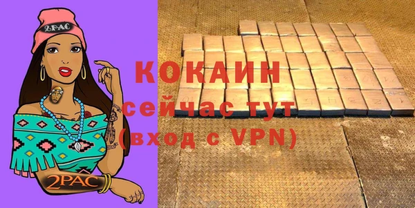 прущие грибы Волосово
