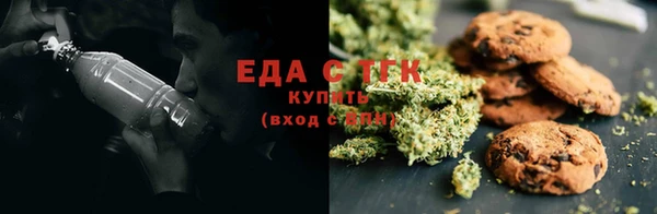 гидра Володарск