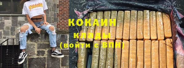 прущие грибы Волосово