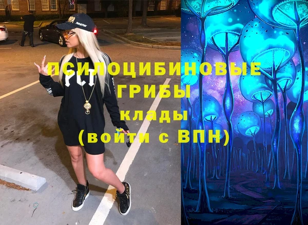 гидра Володарск