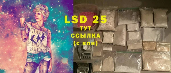 прущие грибы Волосово
