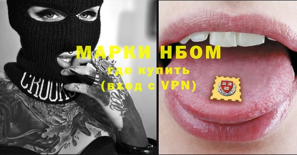 гидра Володарск
