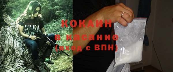 прущие грибы Волосово