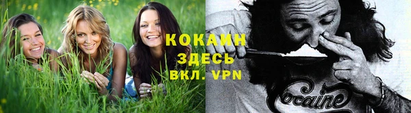 гидра Володарск