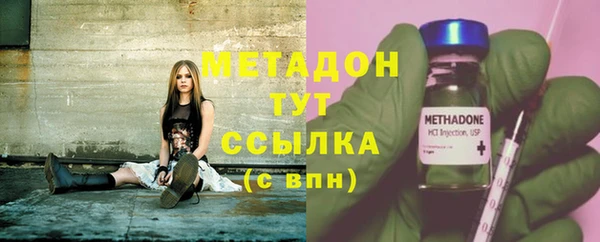 прущие грибы Волосово